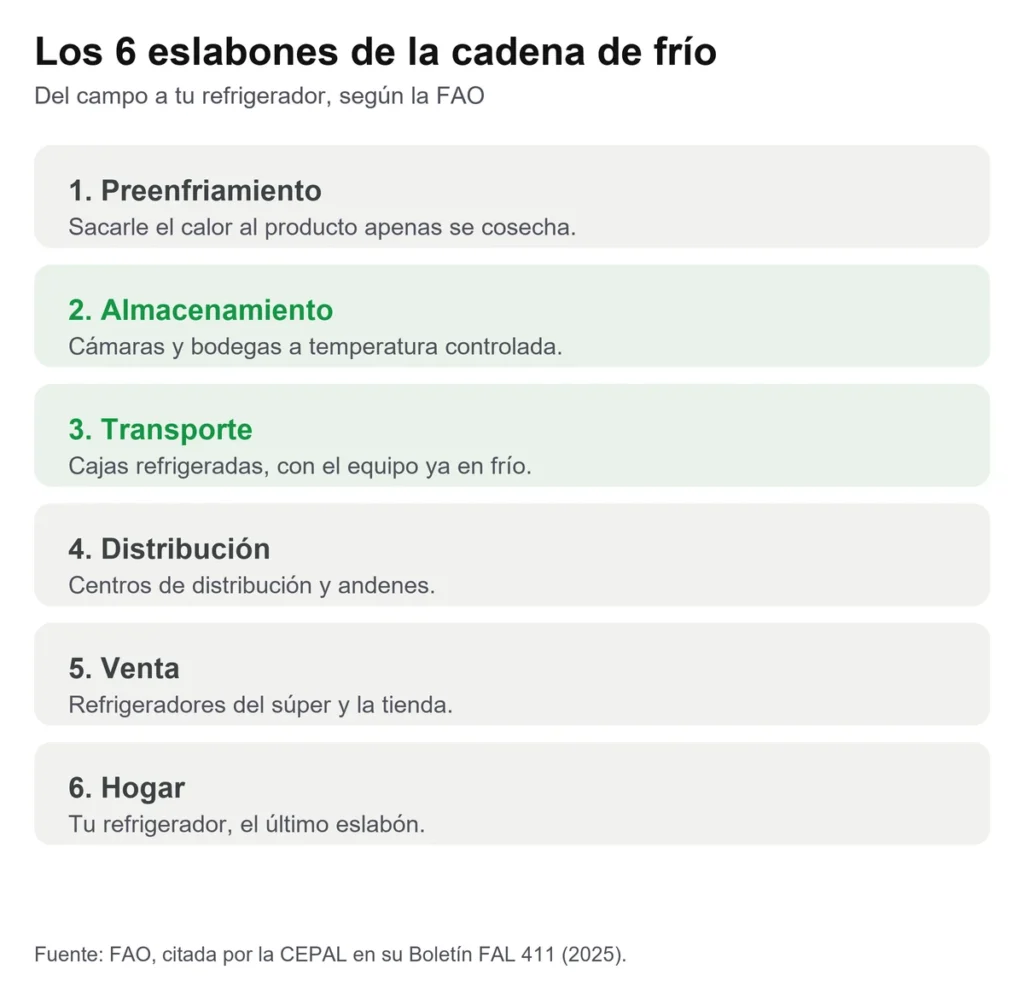 Tarjeta con los seis eslabones de la cadena de frío en alimentos según la FAO: preenfriamiento, almacenamiento, transporte, distribución, venta y hogar